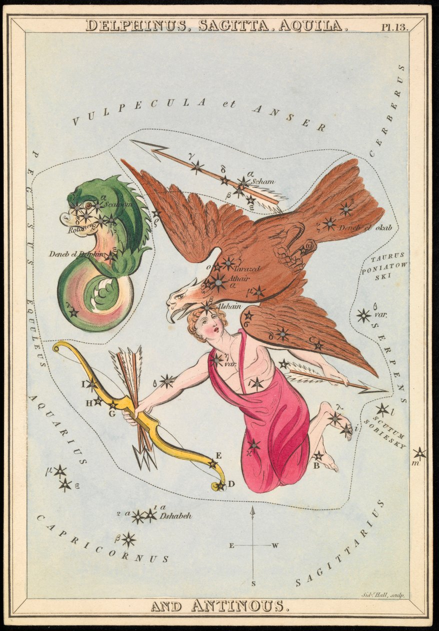 Delphinus, Sagitta, Aquila och Antinous, ca 1825 (kort, papper, vävnad) av Sydney Hall