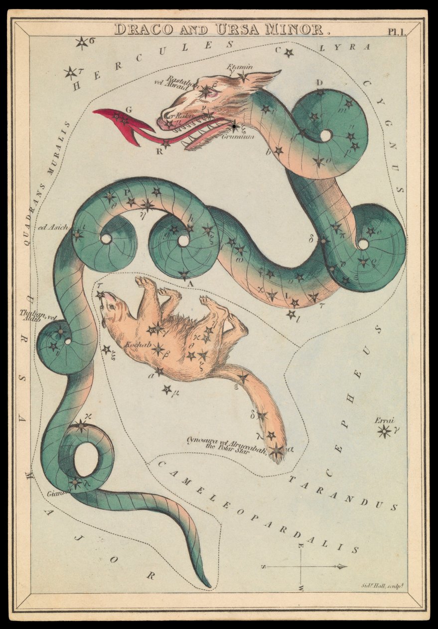 Draco och Lilla Ursa, ca 1825 (kort, papper, vävnad ) av Sydney Hall