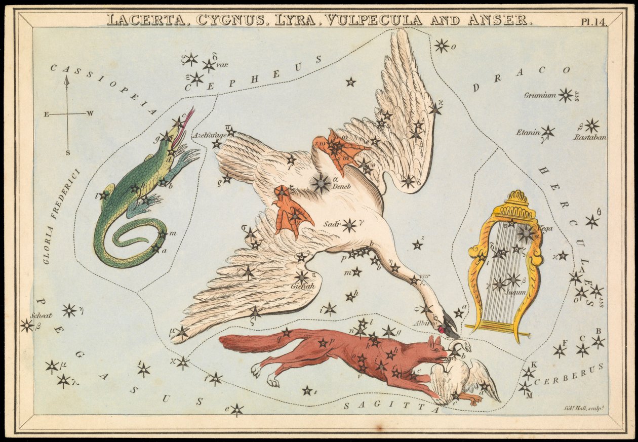 Lacerta, Cygnus, Lyra, Vulpecula och Anser, ca 1825 (kort, papper, vävnad) av Sydney Hall