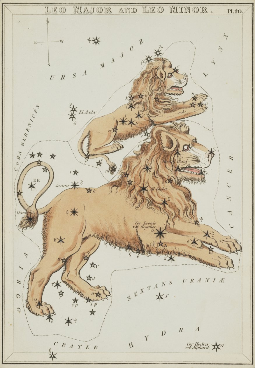 Leo Major och Leo Minor, Illustration från 
