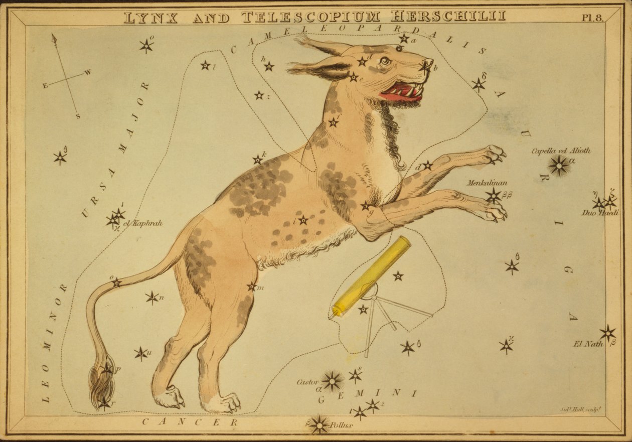 Lynx och Telescopium Herschilii, Illustration från 