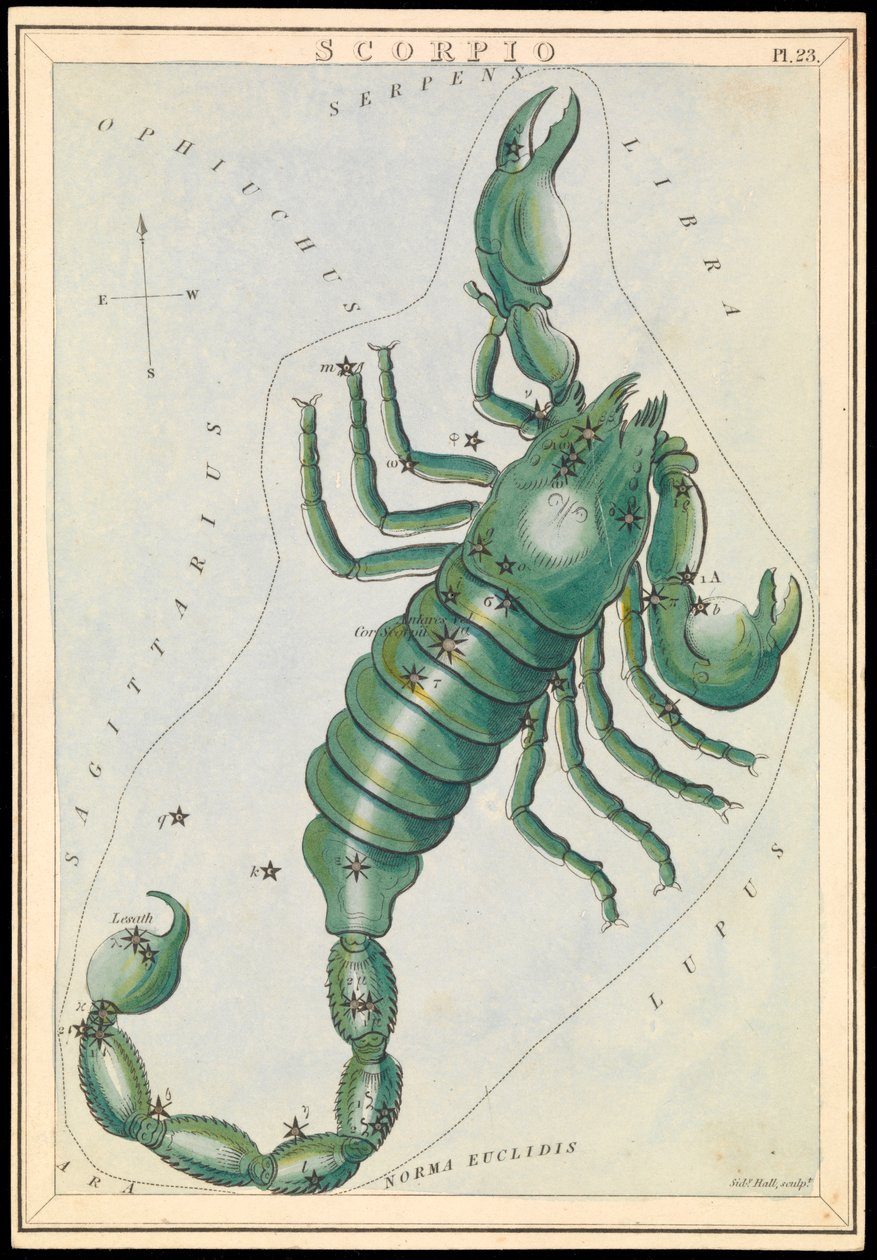 Scorpio, ca 1825 (kort, papper, vävnad ) av Sydney Hall