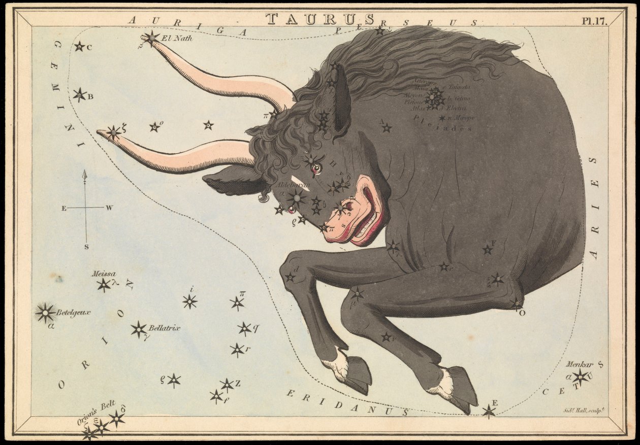 Taurus, ca 1825 (kort, papper, vävnad ) av Sydney Hall