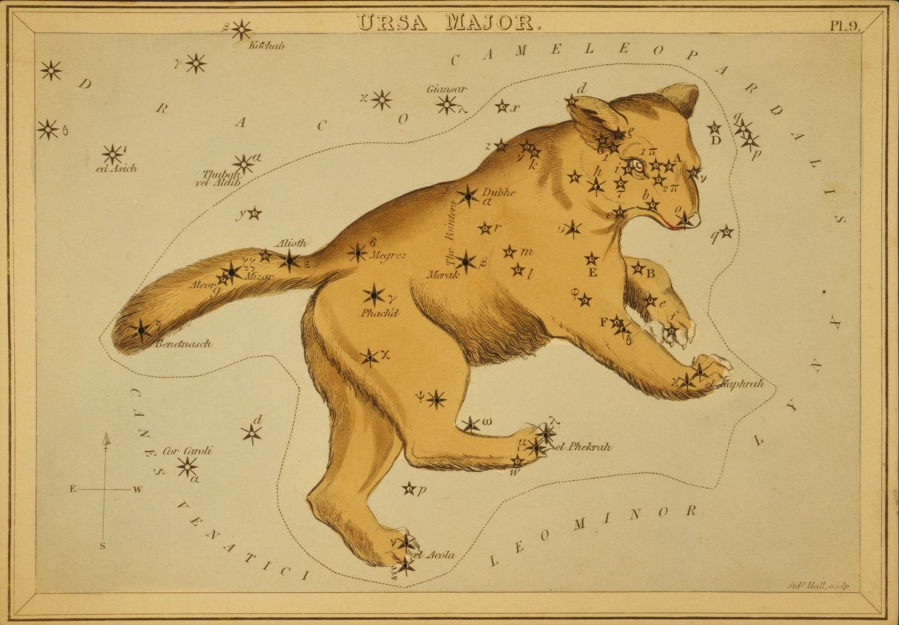Ursa Major, Illustration från 