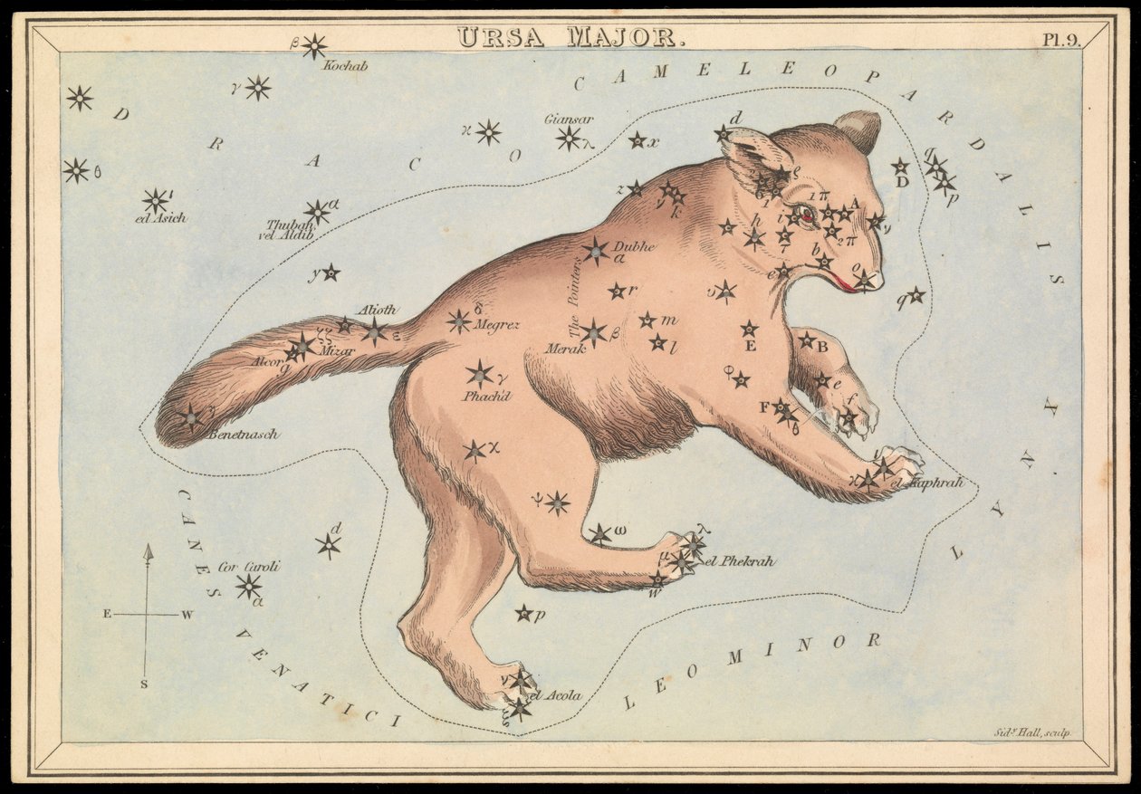 Ursa Major, ca 1825 (kort, papper, vävnad) av Sydney Hall