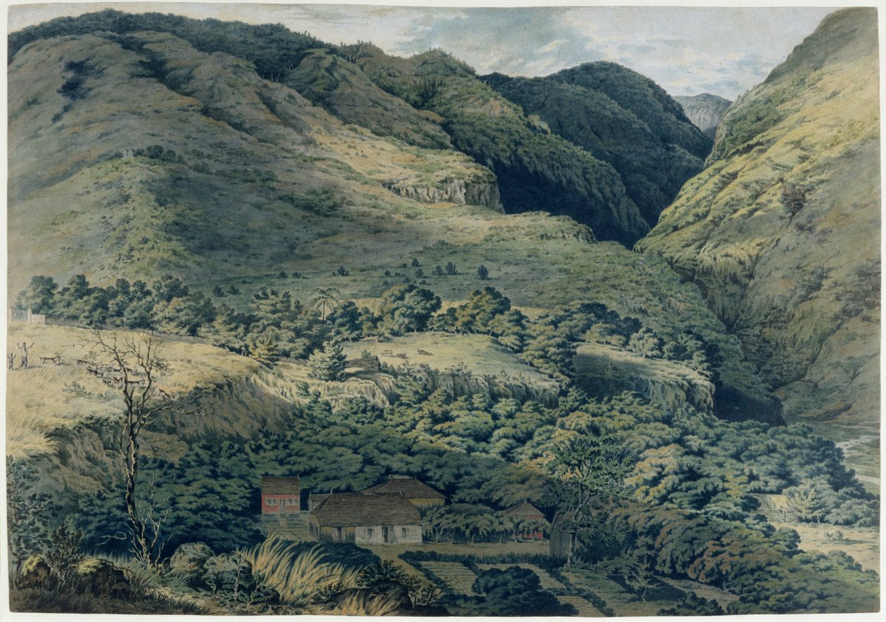 Ravin och flod vid St. Denis, Bourbon, 1814 av T. Bradshaw