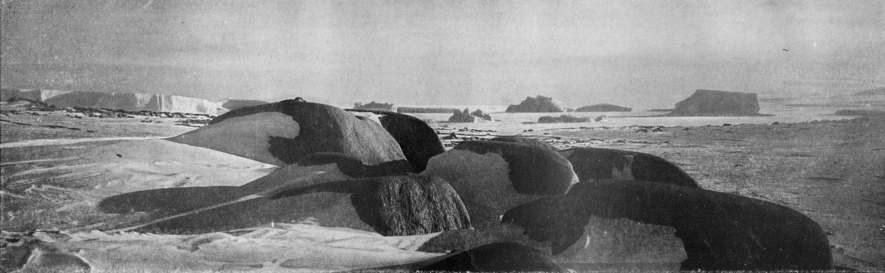 Granitblock hyvlade av antika glaciärer vid Cape Roberts, c1911, 1913. av T. Griffith Taylor