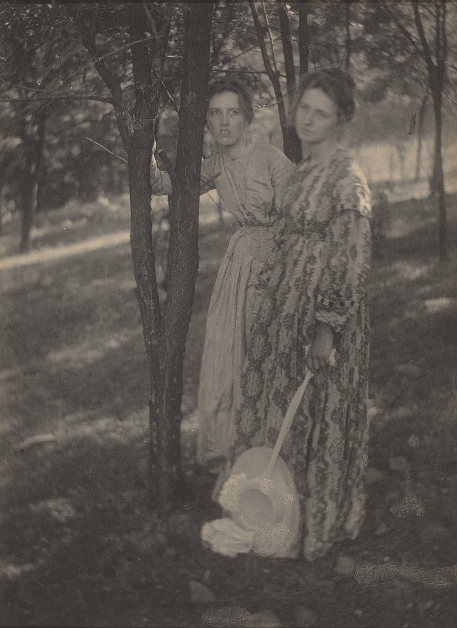 I skogen,ca. 1899 (foto) av T. M. Edmiston