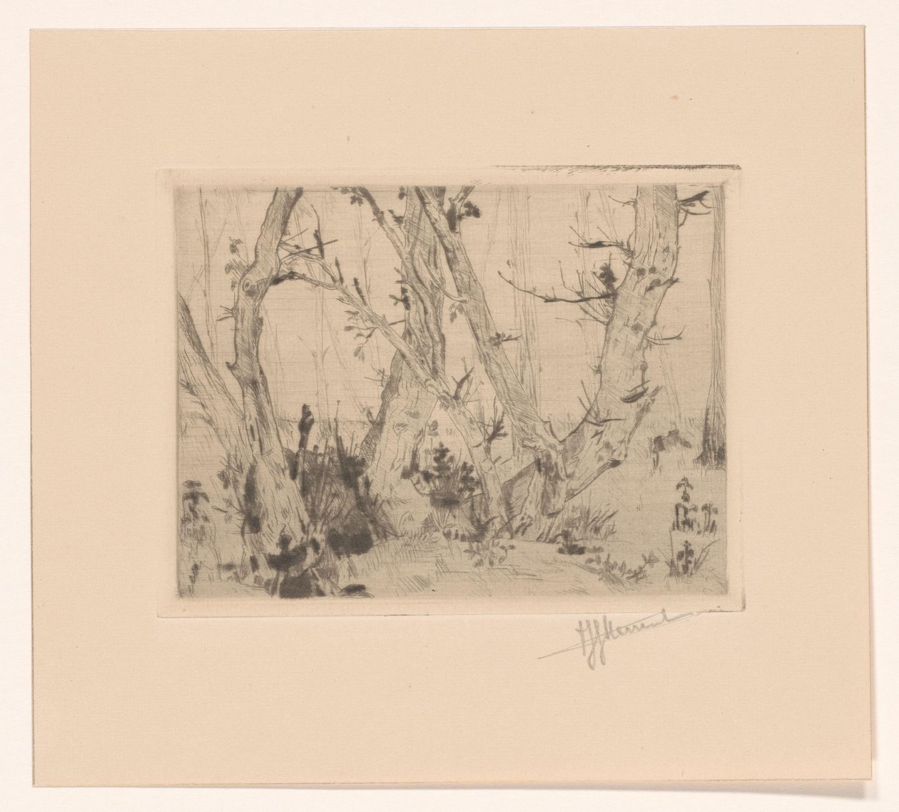 skogsutsikt av T. Sterrenburg (signed by artist)