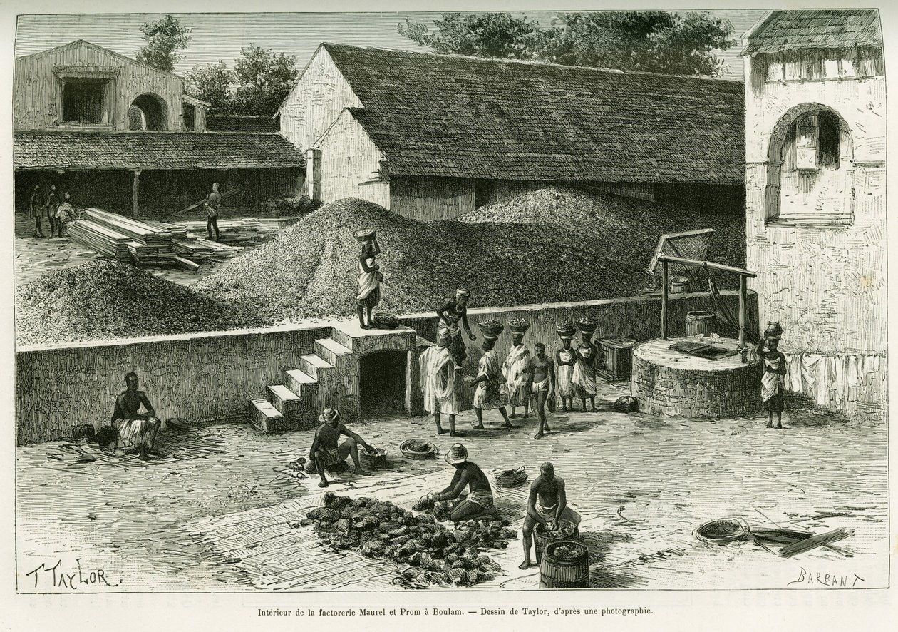 Inne på fabriken Maurel och Prom, i Boulam, samlar och bearbetar jordnötter, palmmandel och gummi. Gravyr av Taylor, efter ett fotografi, för att illustrera berättelsen Voyage dans la Senegambie et la Guinee portuguese, 1888, av kapten A. Brosselard, av T Taylor