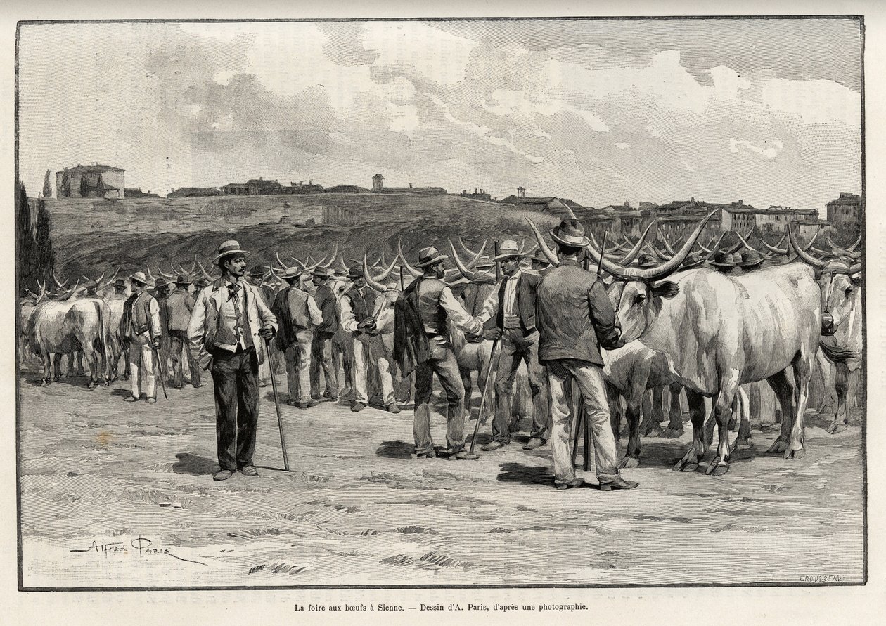 Nötköttsmässan i Siena (Italien). Gravyr av Taylor för att illustrera historien "" A travers la Tuscane"" av Eugene Muntz (1845-1902), i Le tour du Monde 1892, regisserad av Edouard Charton (1807-1891), Hachette, Paris. av T Taylor