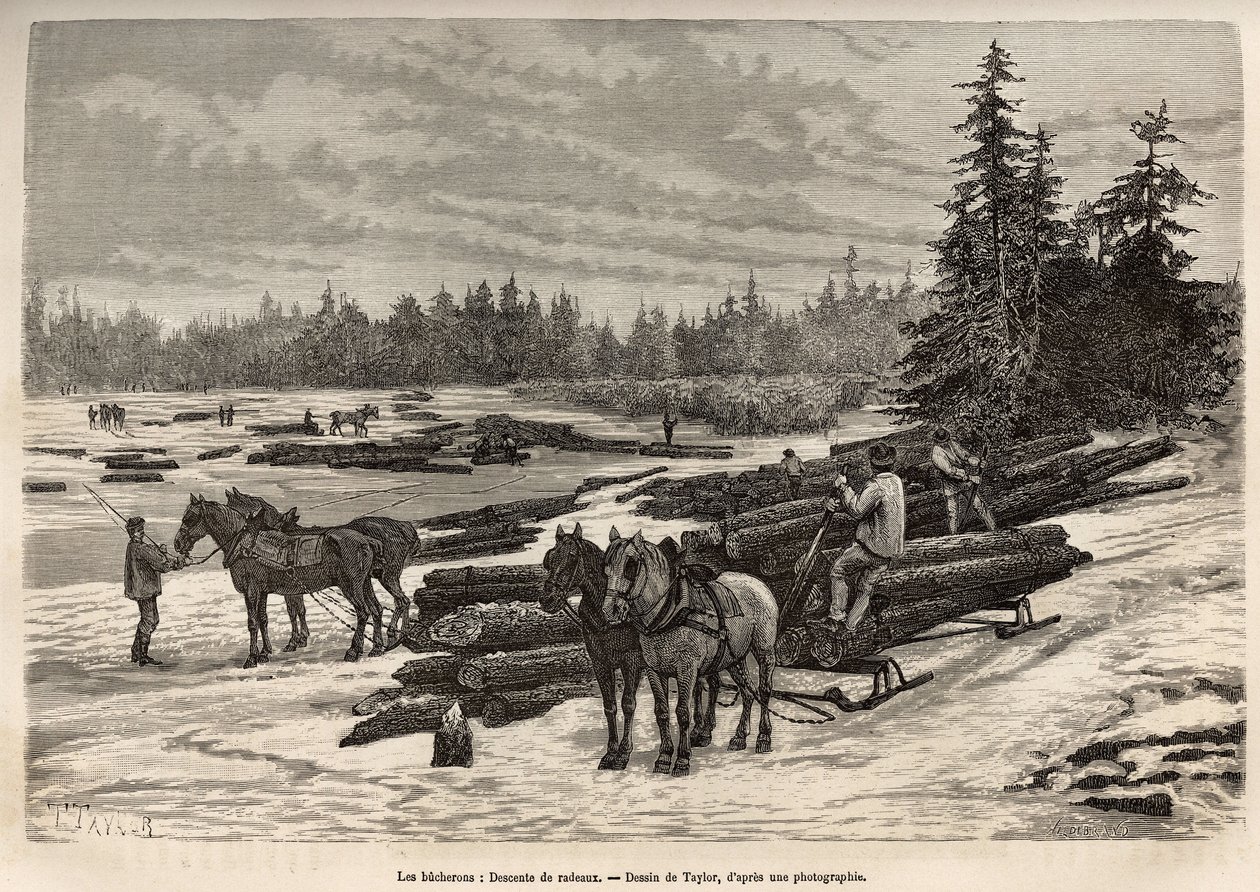 Nedstigningen av flottarna i Ontario, loggarna lastar av de avskurna stammarna och installerar dem på den frostiga floden, sedan under degeln kommer stammarna att bäras av strömmen till den plats där de kommer att släppas ut och omvandlas, gravering efter  av T Taylor