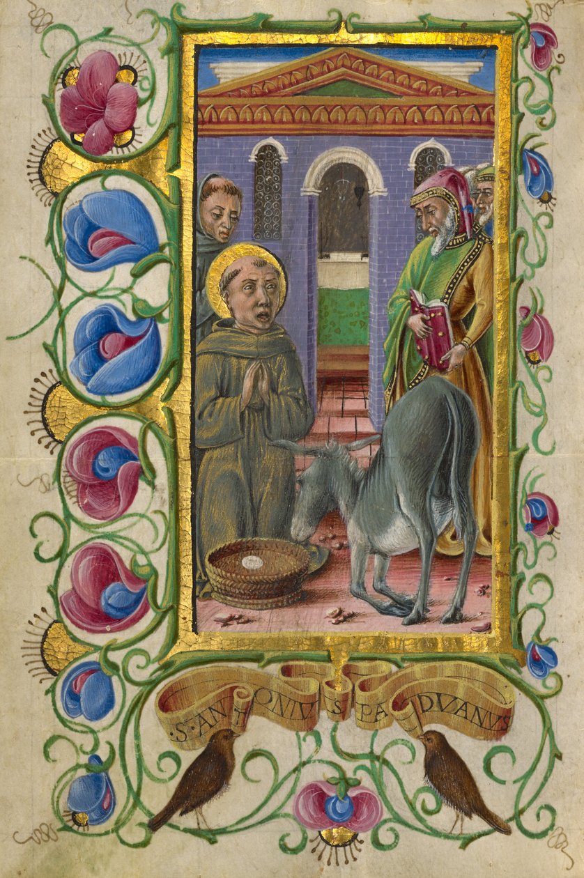 Sankt Antonius av Padua av Taddeo Crivelli