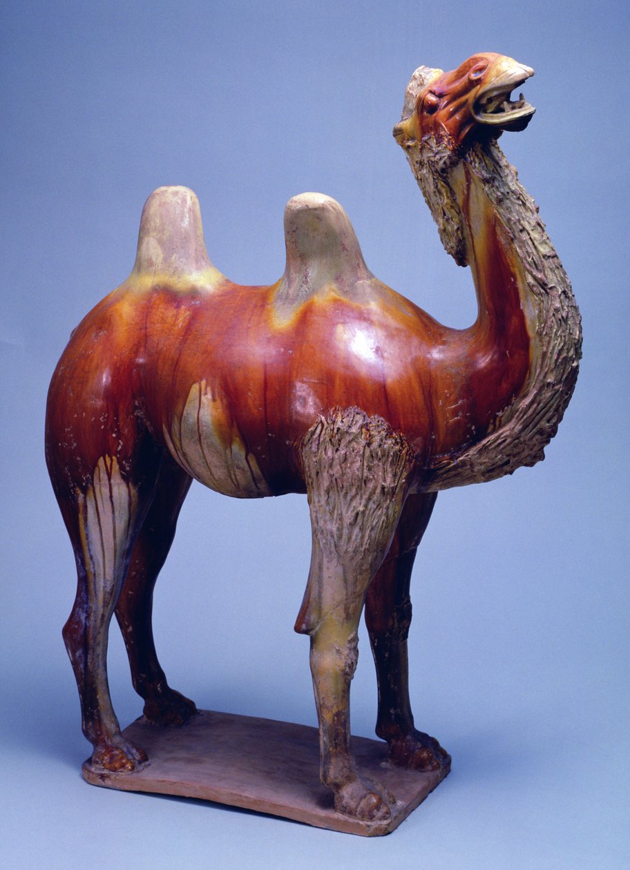 Kamel, Tangdynastin (polykrom glaserad keramik) av Tang Dynasty Chinese School