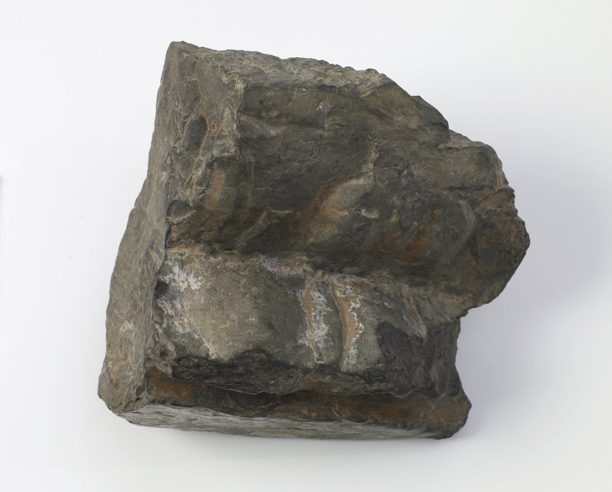 Fragment av en lotuspiedestal av Tang Dynasty Chinese School