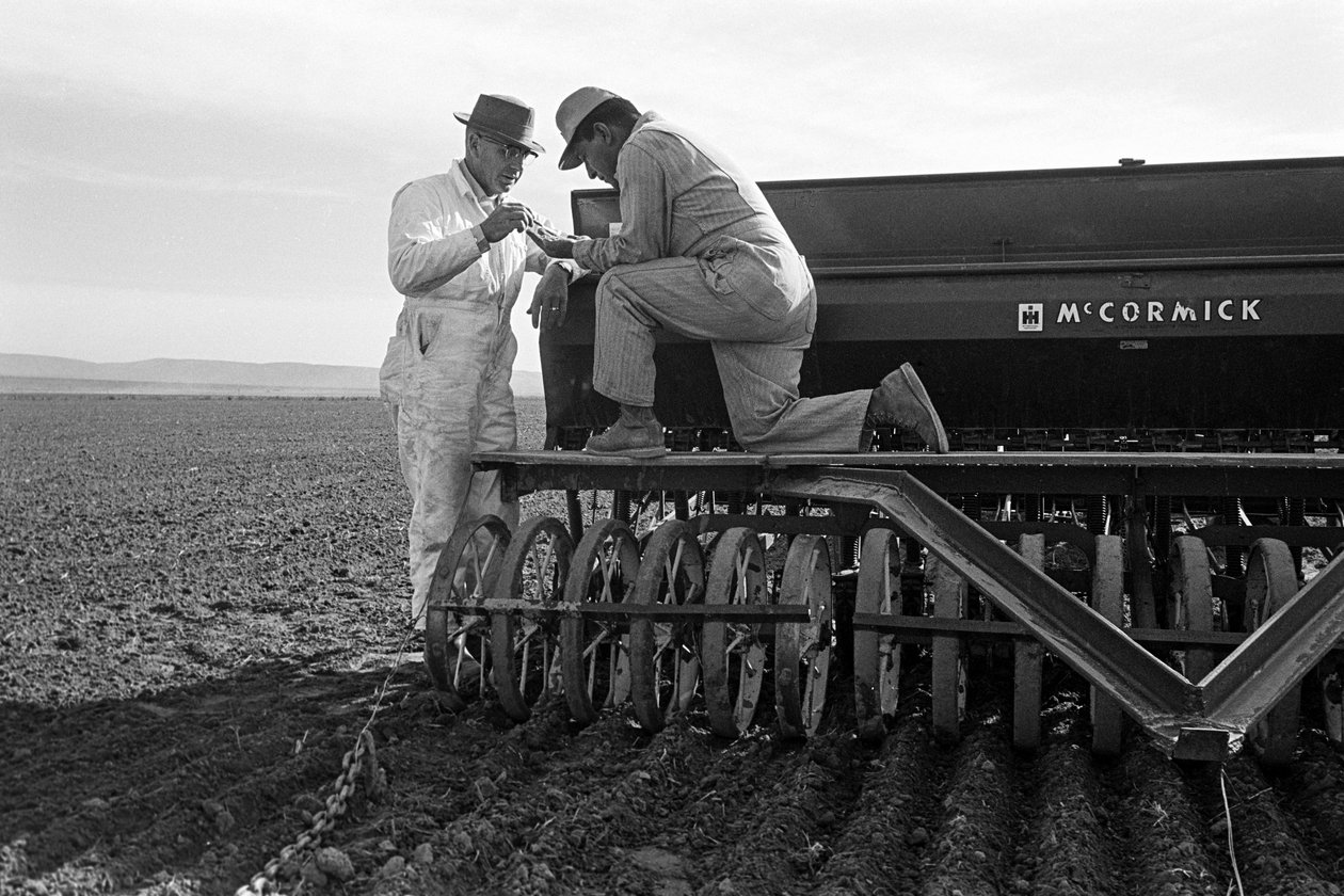 Familjejordbrukaren Ed Ker på A.M. Ker Ranch är en jordbrukande homesteader som odlar alfalfa... av Ted Spiegel