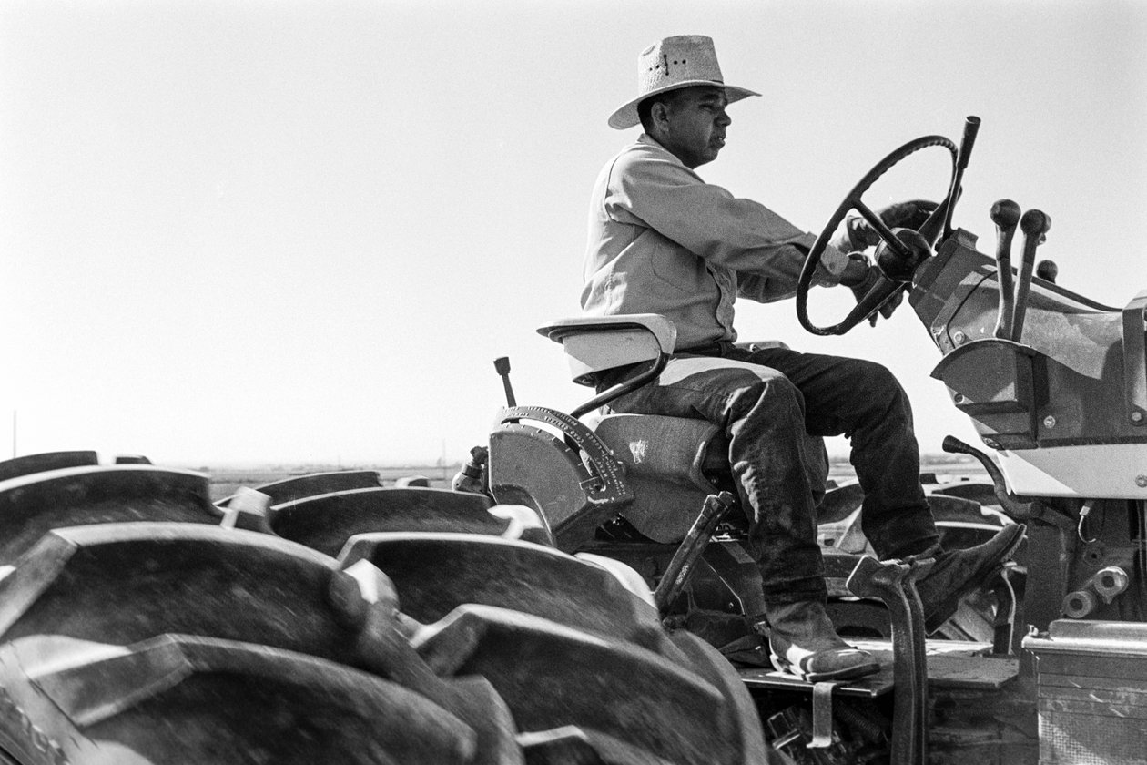 Familjejordbrukaren Ed Ker på A.M. Ker Ranch är en jordbrukande homesteader som odlar alfalfa... av Ted Spiegel