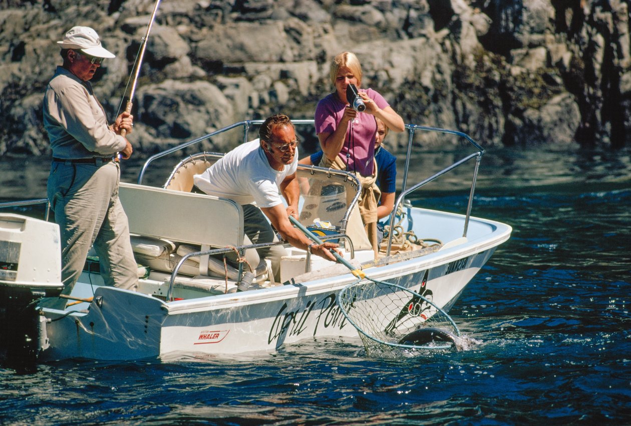 En sportfiskare filmar sin fångst och drar upp en lax vid Bute Inlet. av Ted Spiegel