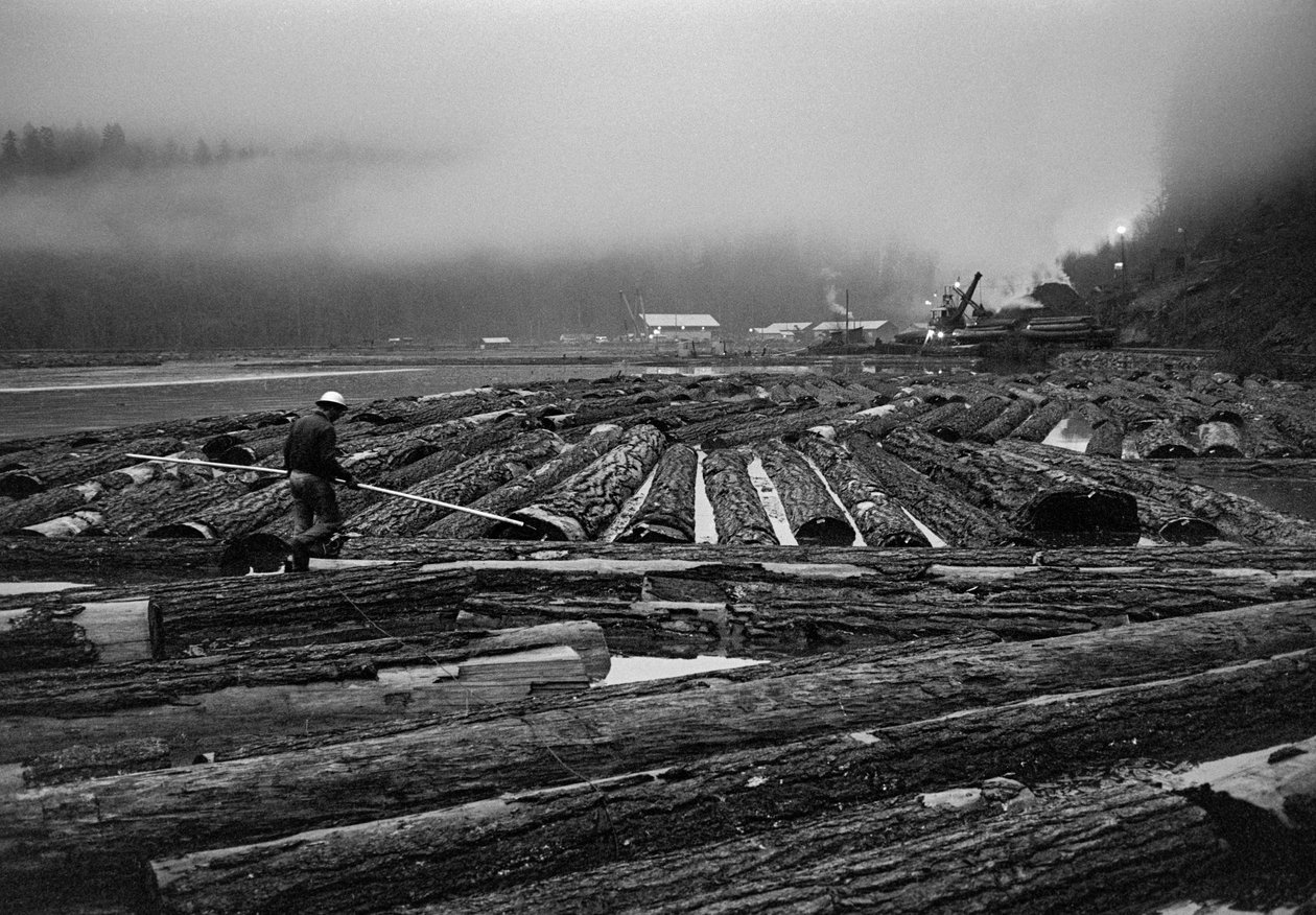 Avverkning av Georgia-Pacific Corp. i Oregon trädodlingsskogar ... av Ted Spiegel