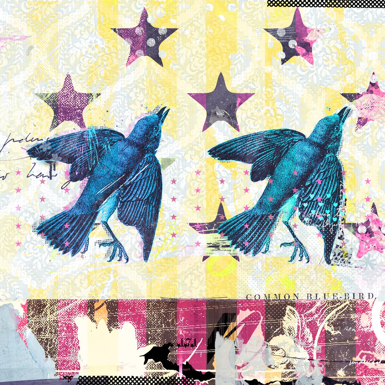 Fåglar i serien, 2015 (Collage på duk) av Teis Albers