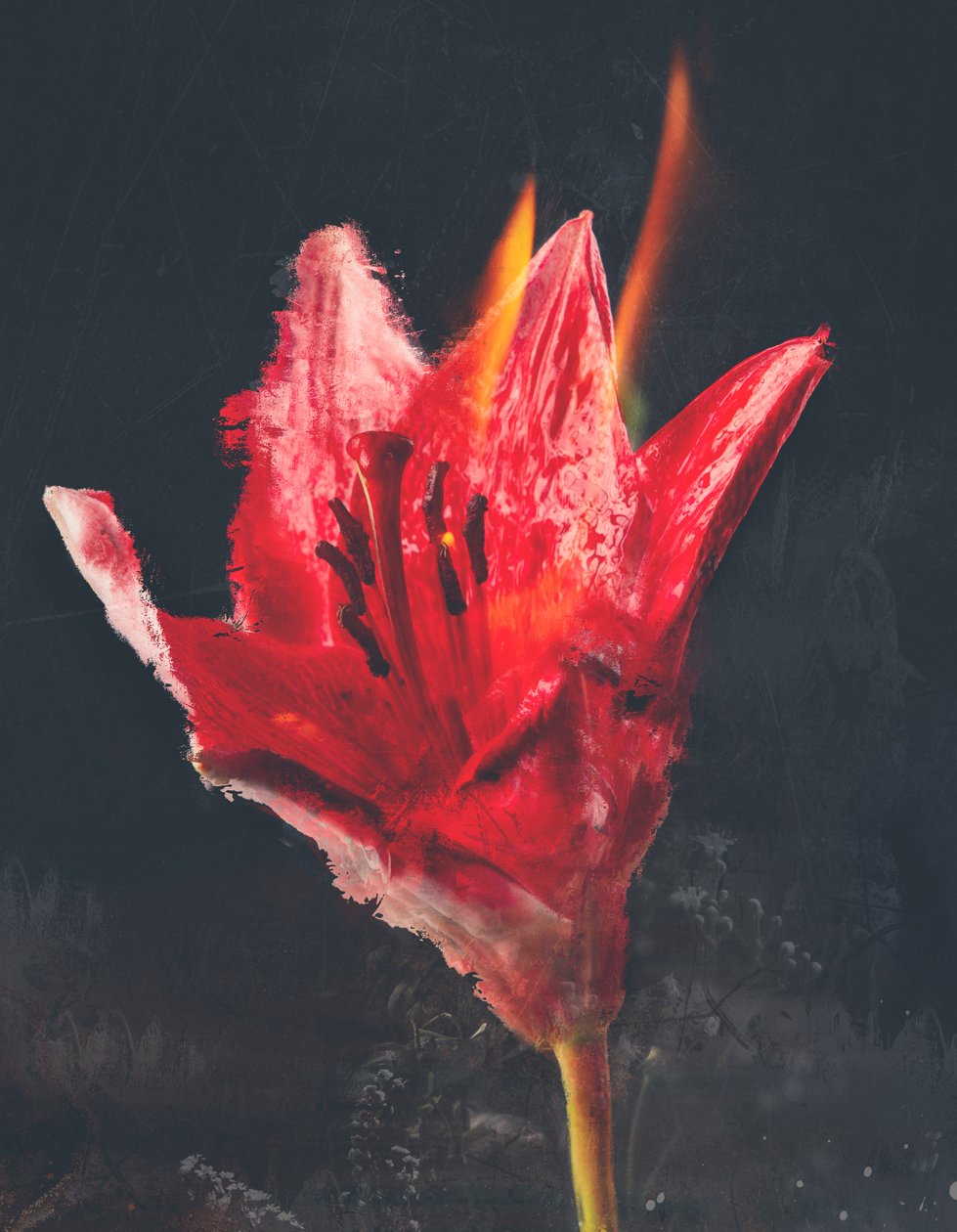 Combust, 2019 (blandade media på duk) av Teis Albers