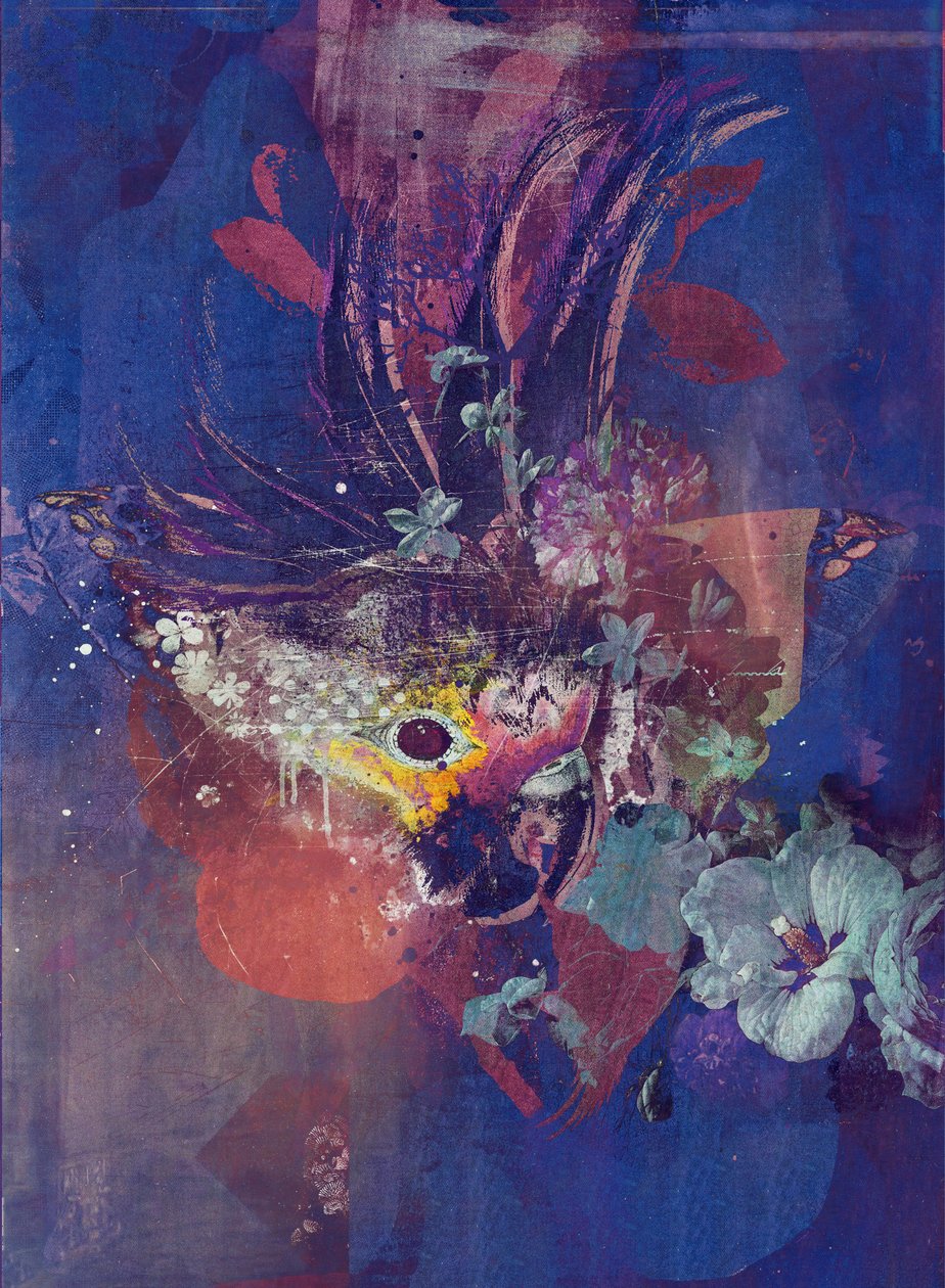 Påfågel, 2016 (collage på duk) av Teis Albers
