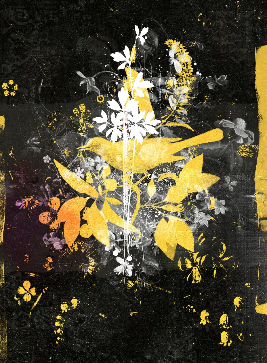 Rise Up!, 2015 (blandade media på duk) av Teis Albers