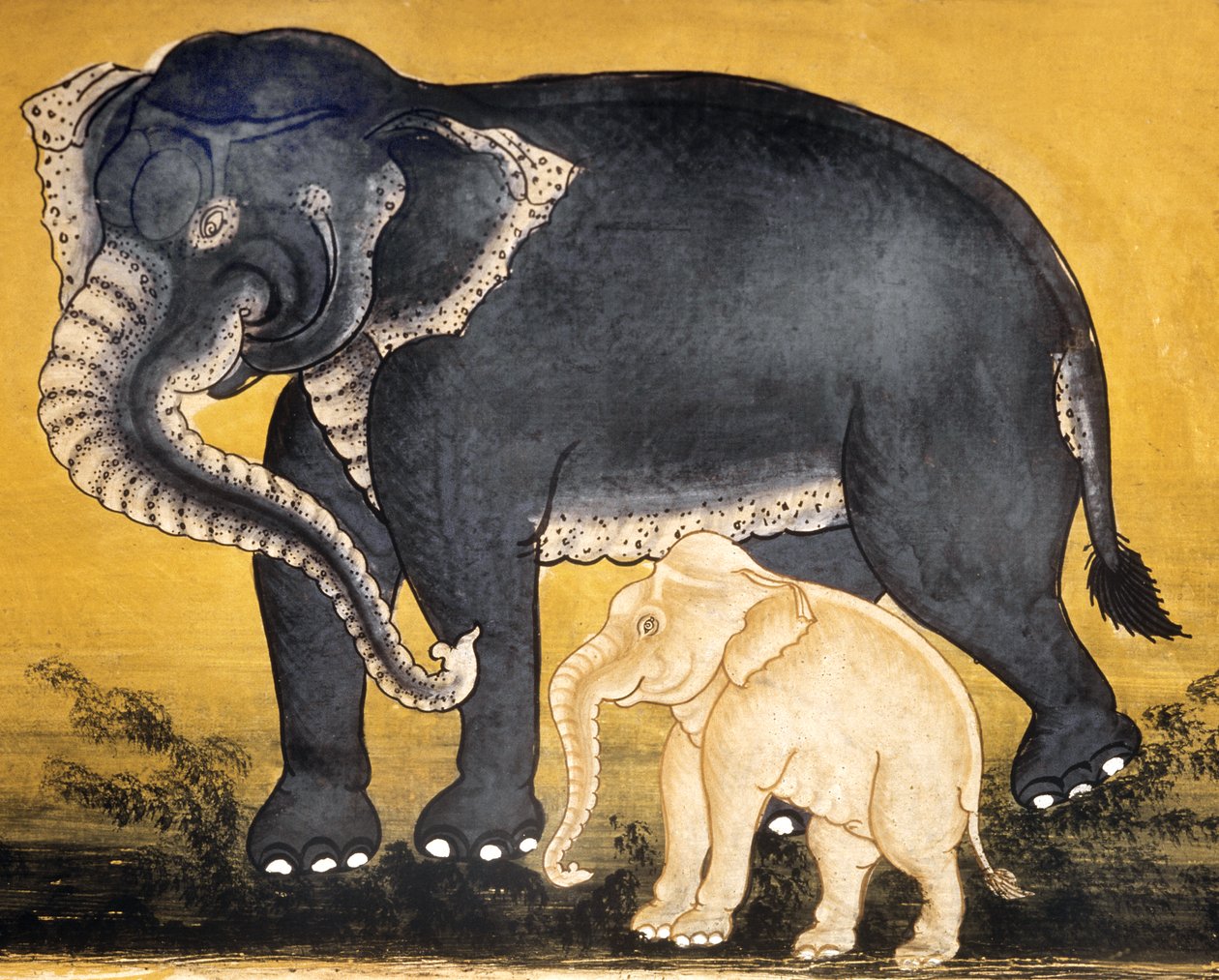 Elefant och kalv, sida ur ett manuskript om elefantträning (wc på papper) av Thai School