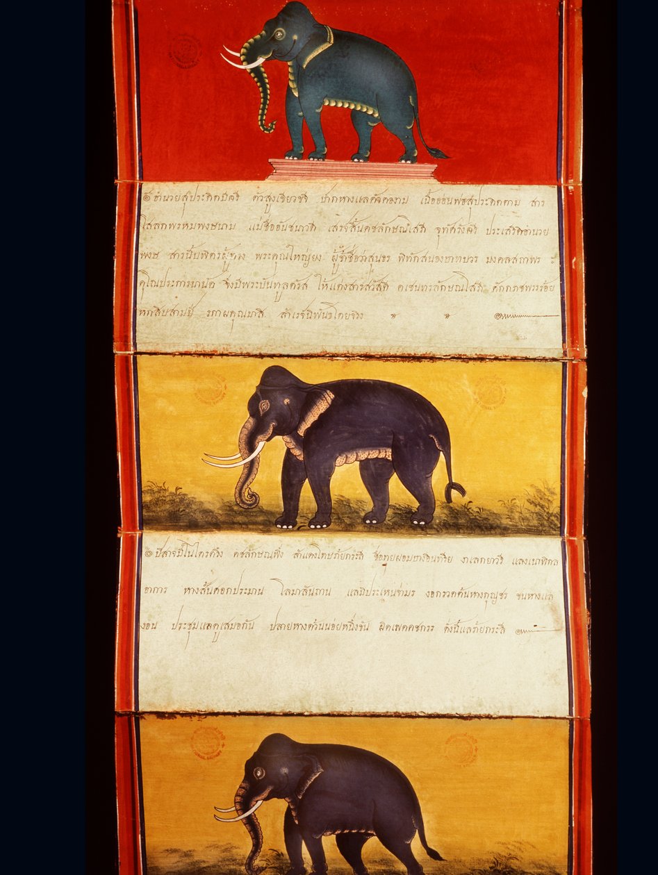 Folio från ett manuskript om elefantträning (penna & bläck och wc på papper) av Thai School
