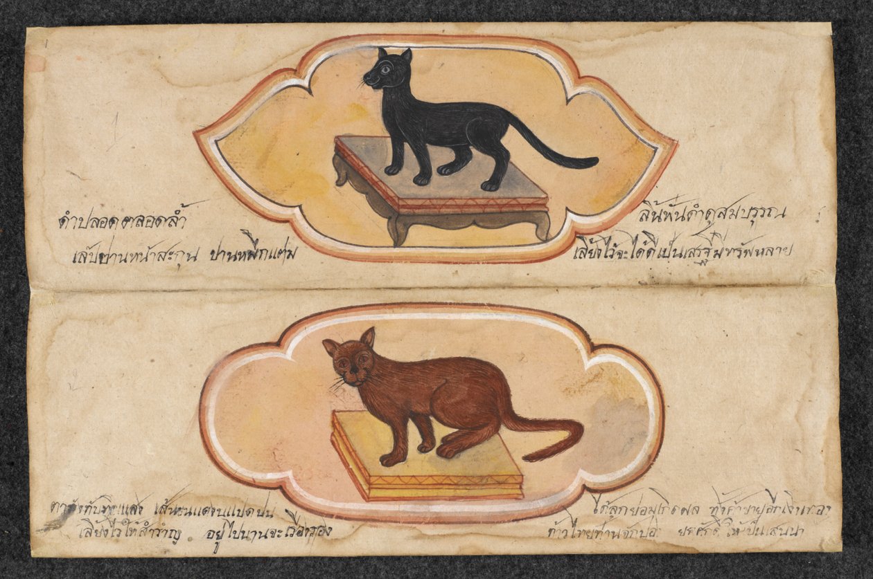 Siamese Cats, Fol. 1: två lyckliga katter för att stödja affärer och ackumulering av rikedom, Or. 16797, f.1 (pergament) av Thai School