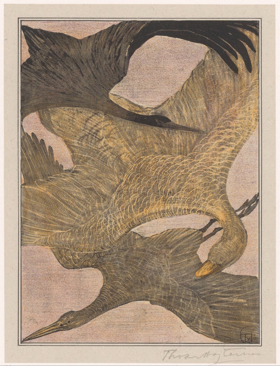 Tre flygande fåglar av Theo van Hoytema (signed by artist)