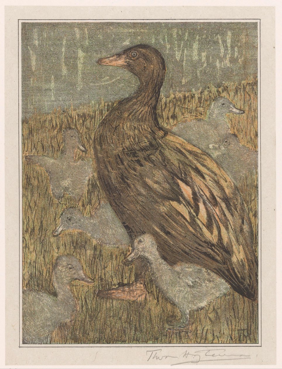 Anka med kycklingar vid vattnet av Theo van Hoytema (signed by artist)