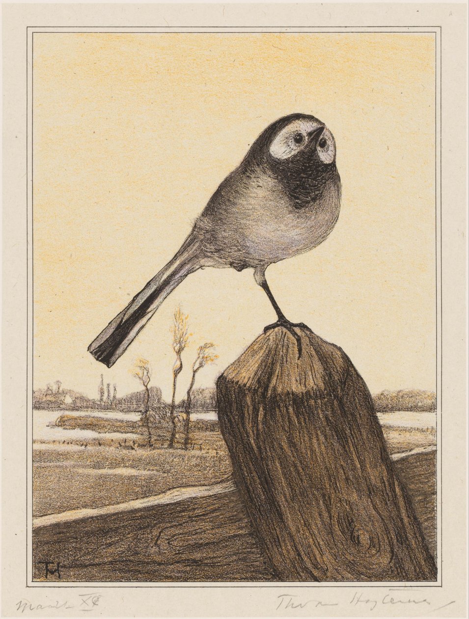 Vipstjärt på stång av Theo van Hoytema (signed by artist)