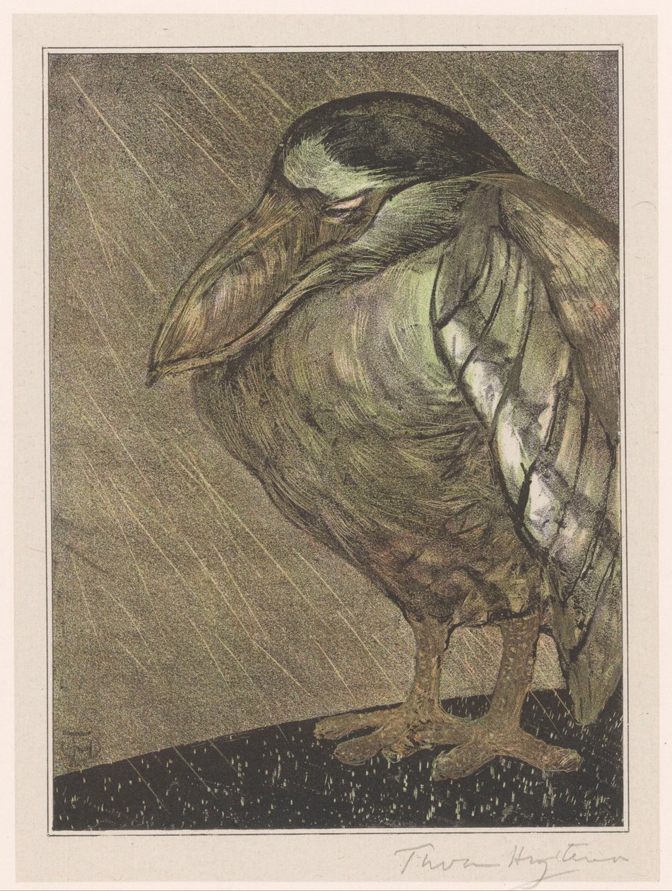 Båthäger i regnet av Theo van Hoytema (signed by artist)
