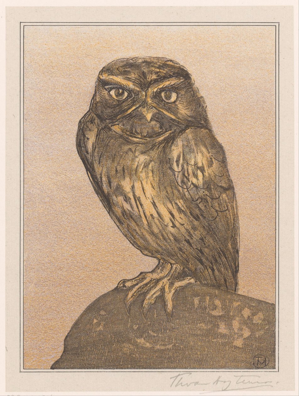 Liten uggla på sten av Theo van Hoytema (signed by artist)