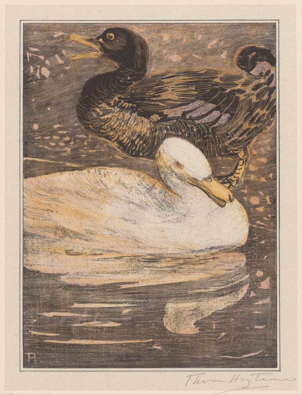 två ankor av Theo van Hoytema (signed by artist)