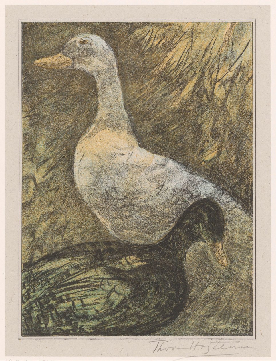Två stående ankor av Theo van Hoytema (signed by artist)