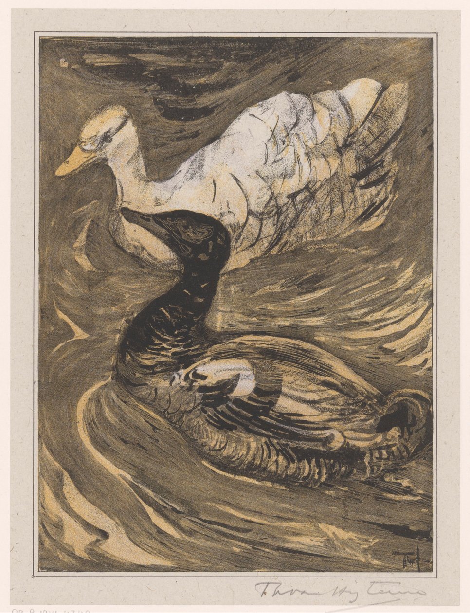 Två simande ankor av Theo van Hoytema (signed by artist)