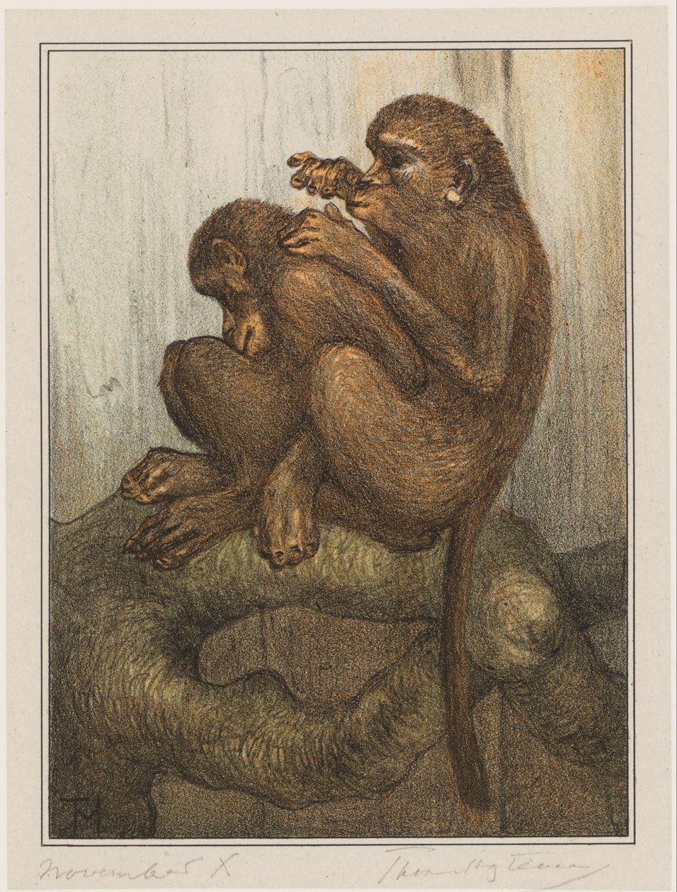 Loppapor av Theo van Hoytema (signed by artist)