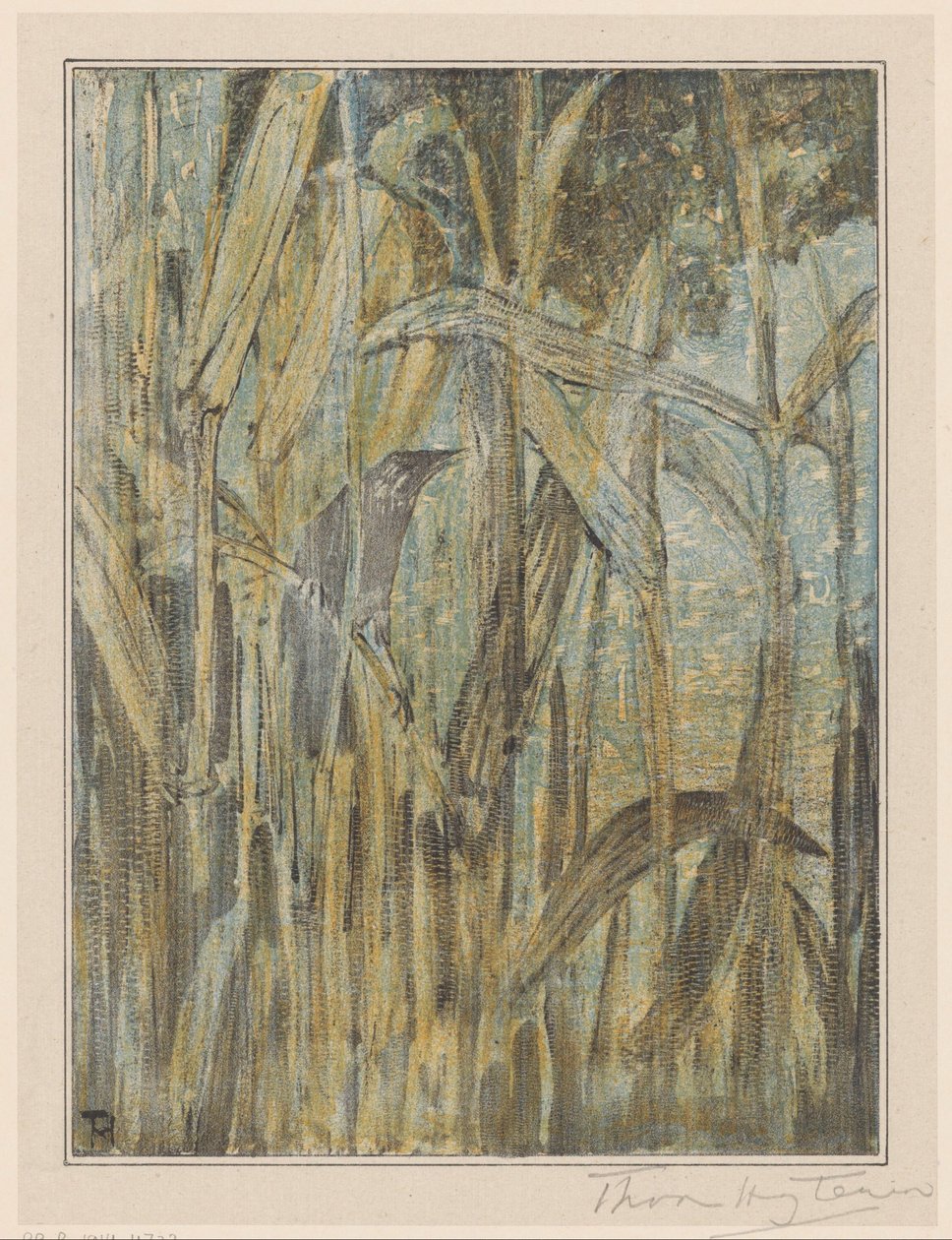 Fågel i vassen av Theo van Hoytema (signed by artist)