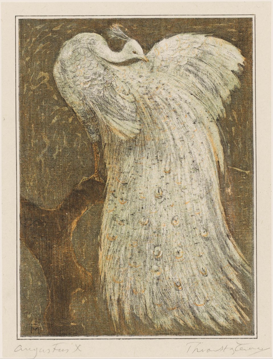Vit påfågel på gren av Theo van Hoytema (signed by artist)