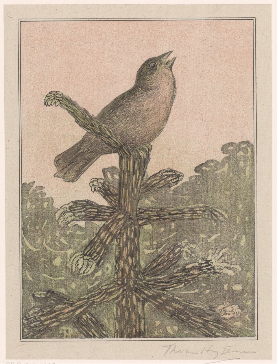 Sjungande fågel på barrträd av Theo van Hoytema (signed by artist)