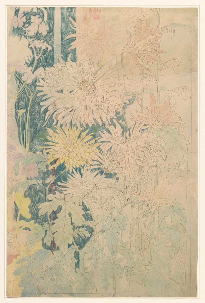 Krysantemum och några andra höstblommor av Theo van Hoytema