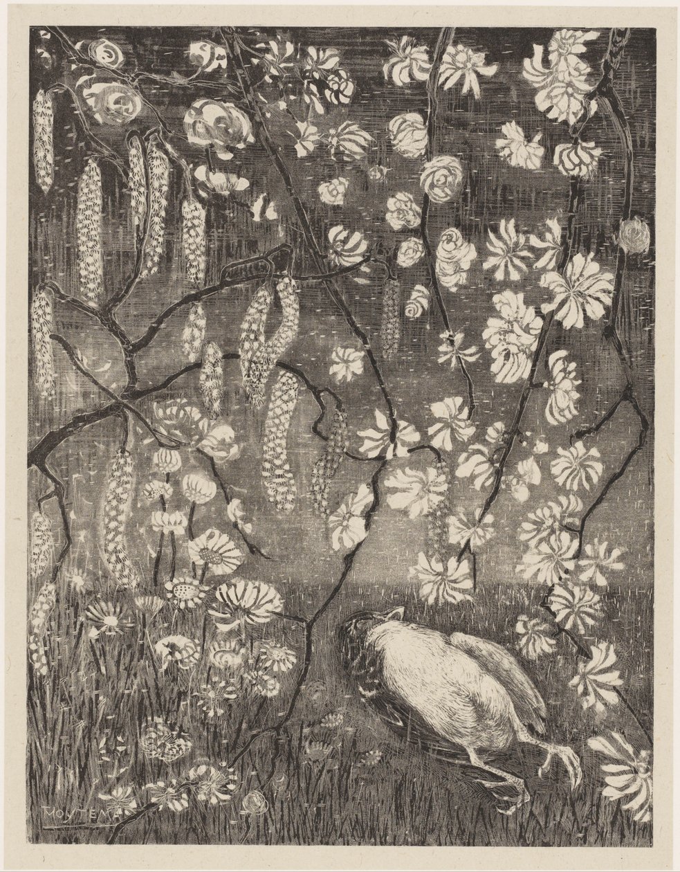 Död fågel under hassel- och kaprifolgrenar Flower Studies (original serietitel) av Theo van Hoytema