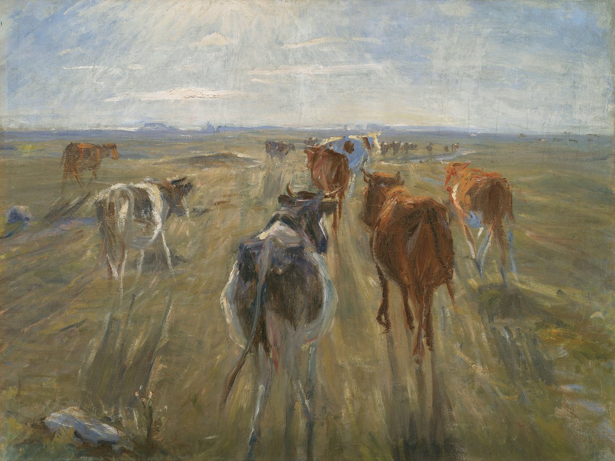 Long Shadows. Cattle on the Island of Saltholm av Theodor Esbern Philipsen