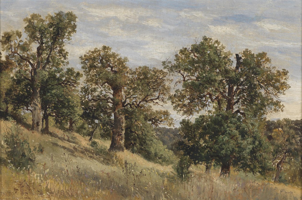 Bergssluttning med träd av Theodor von Hormann