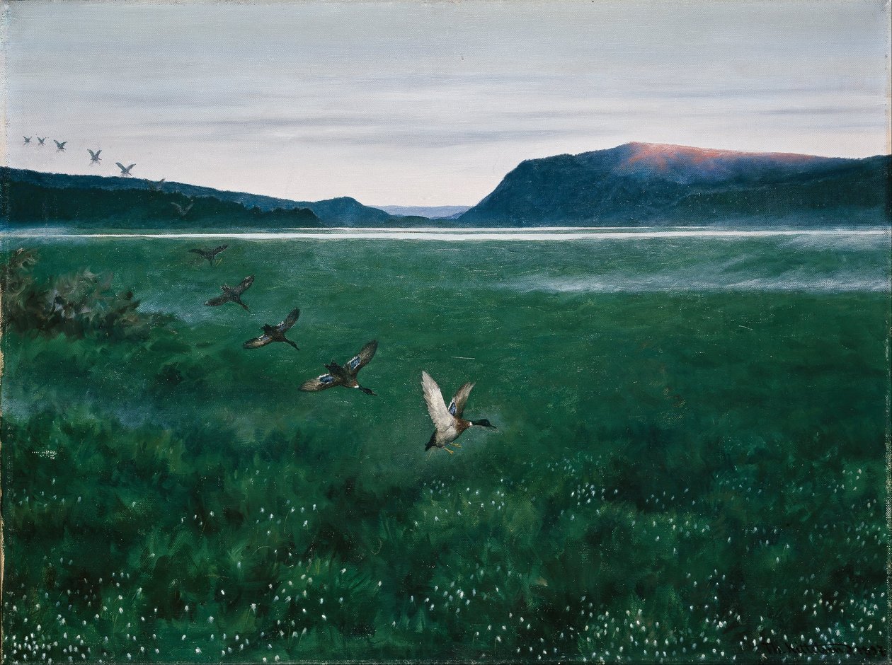 De tolv vilda ankorna av Theodor Kittelsen