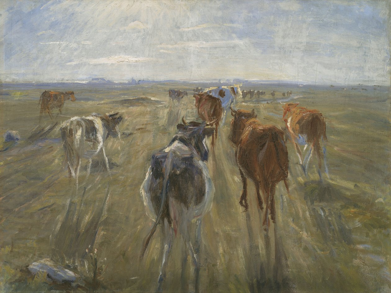 Långa skuggor. Boskap på ön Saltholm, ca. 1890 av Theodor Philipsen