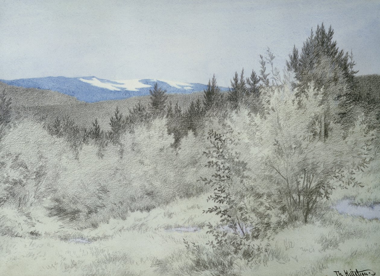 Långt långt borta i skogen av Theodor Kittelsen