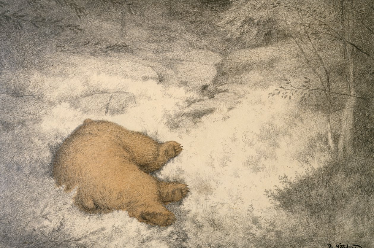 Björnen sover i blåbärsriset av Theodor Severin Kittelsen